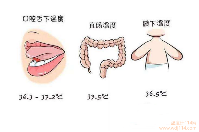 紅外線溫度計測哪較準(zhǔn)?